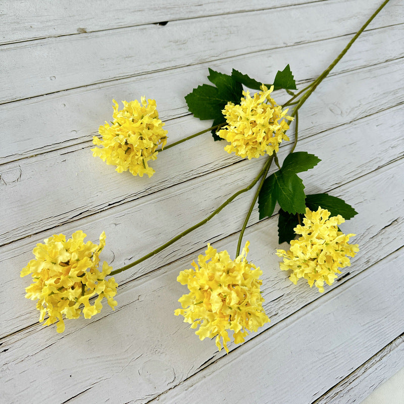 H0014 Hydrangea