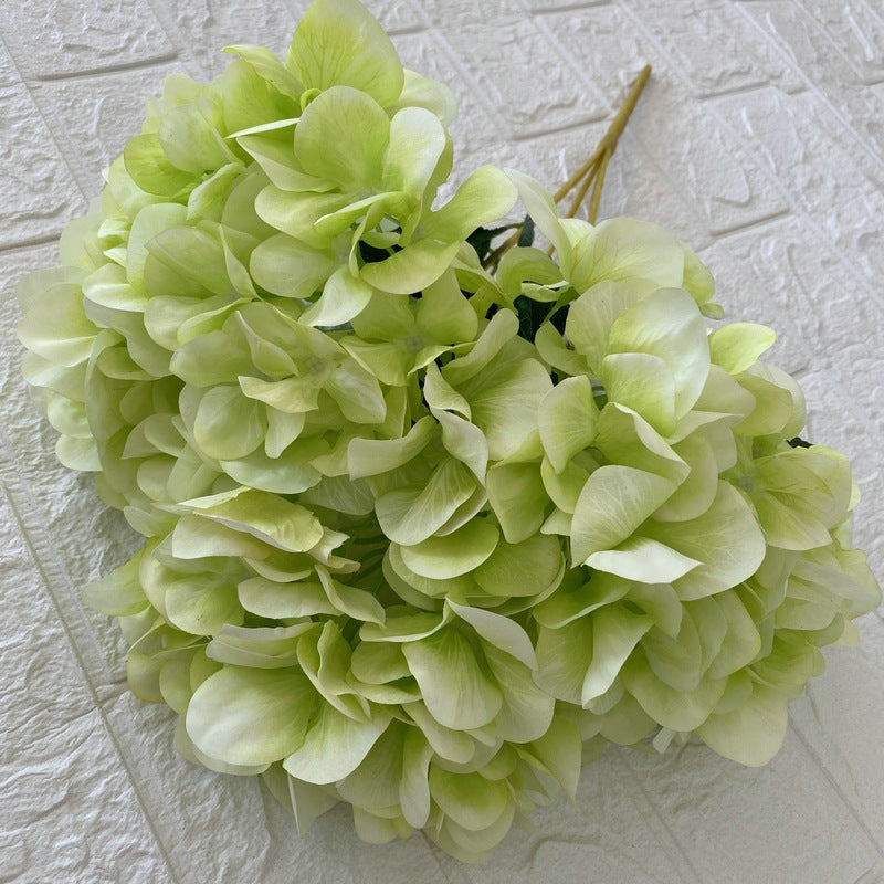 H0010 Hydrangea