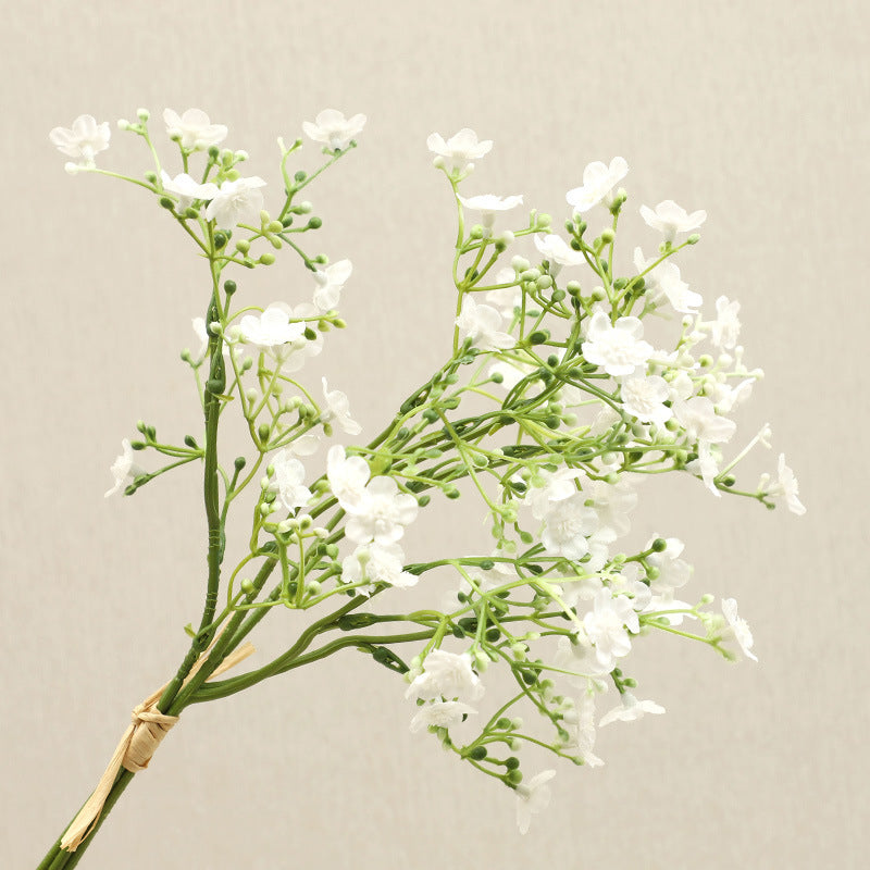 babysbreath015