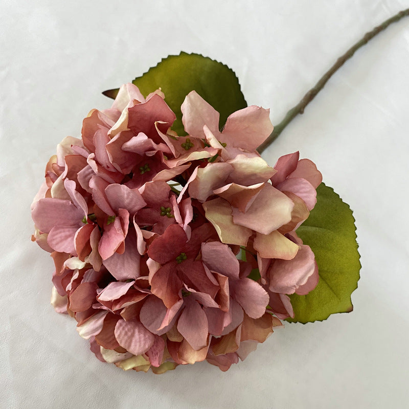 H0011 Hydrangea