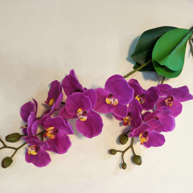 O0012 Film two-pronged simulated small Phalaenopsis with leaves