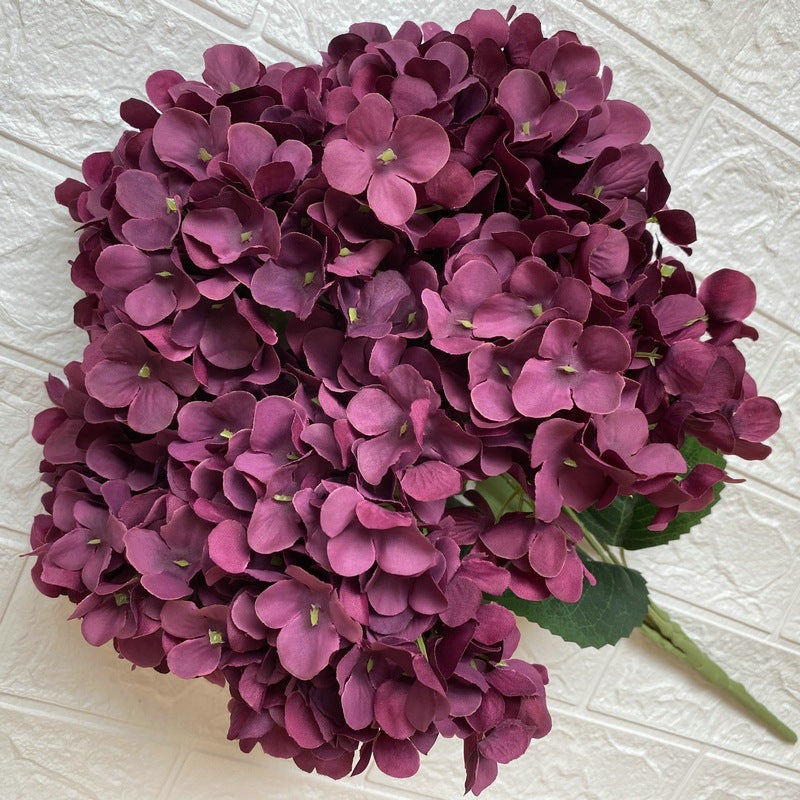 H0006 Hydrangea