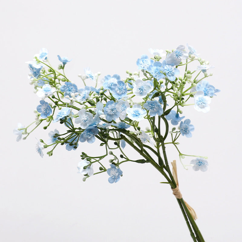 babysbreath015