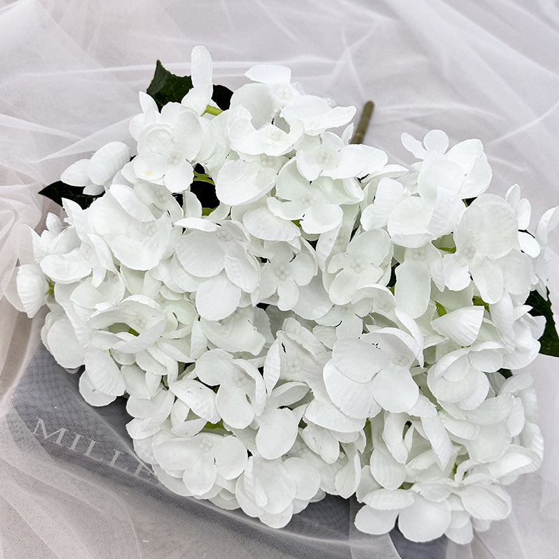 H0007 Hydrangea