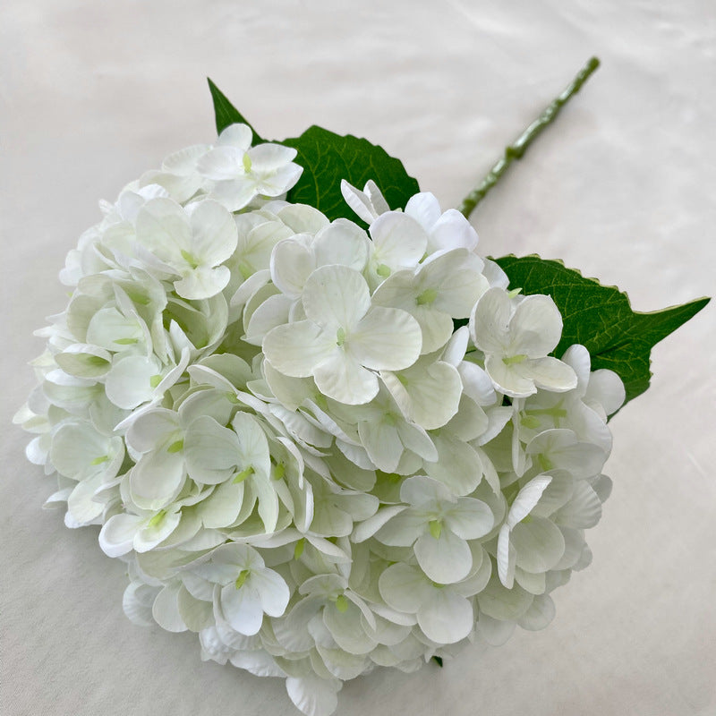 H0003 Hydrangea