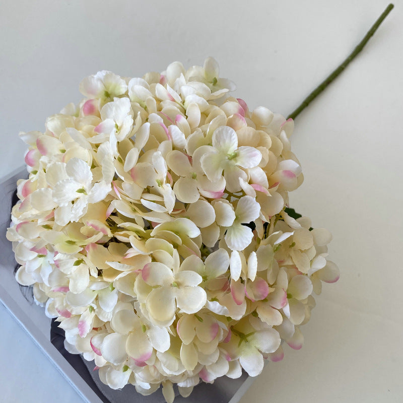 H0012 Hydrangea