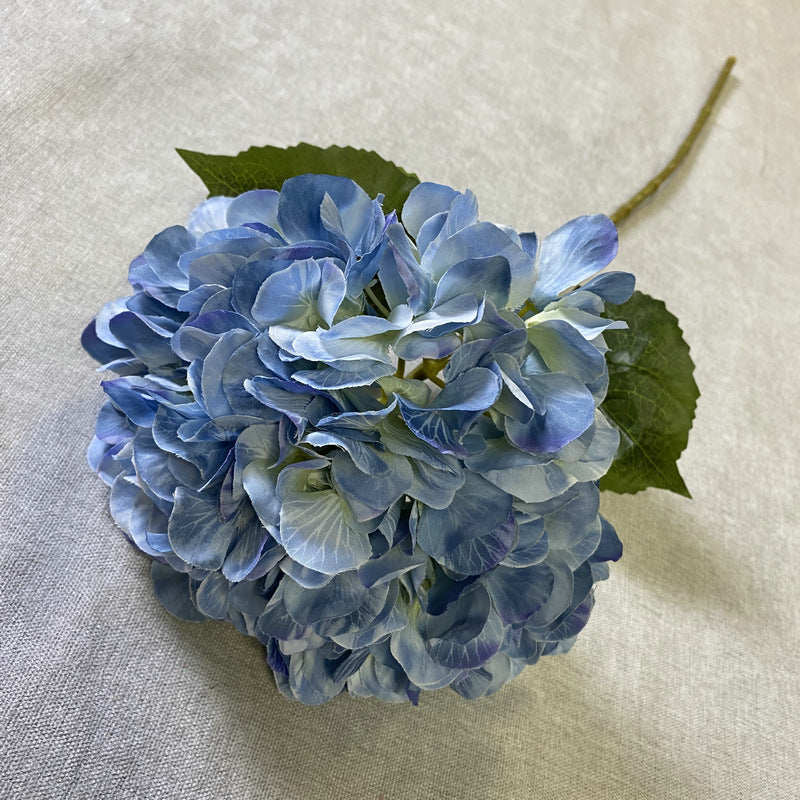 H0016 Hydrangea