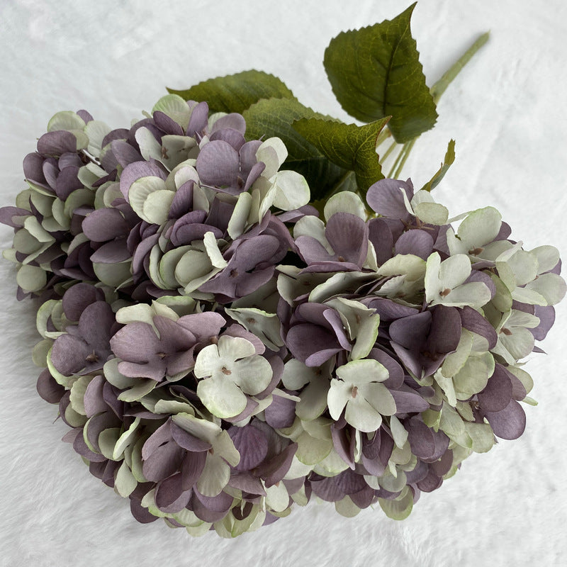 H0025 Hydrangea