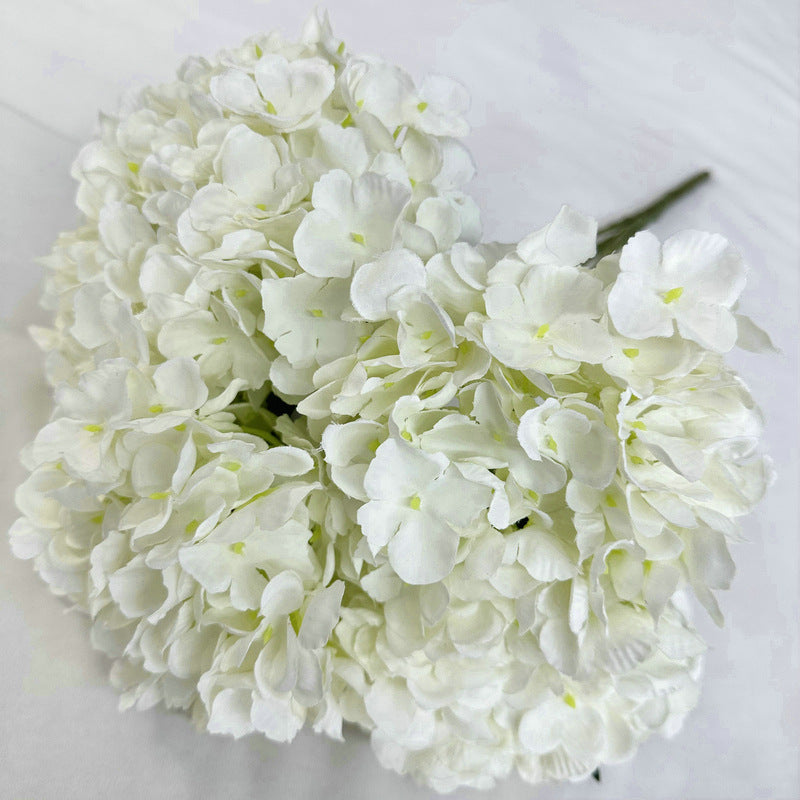 H0020 Hydrangea