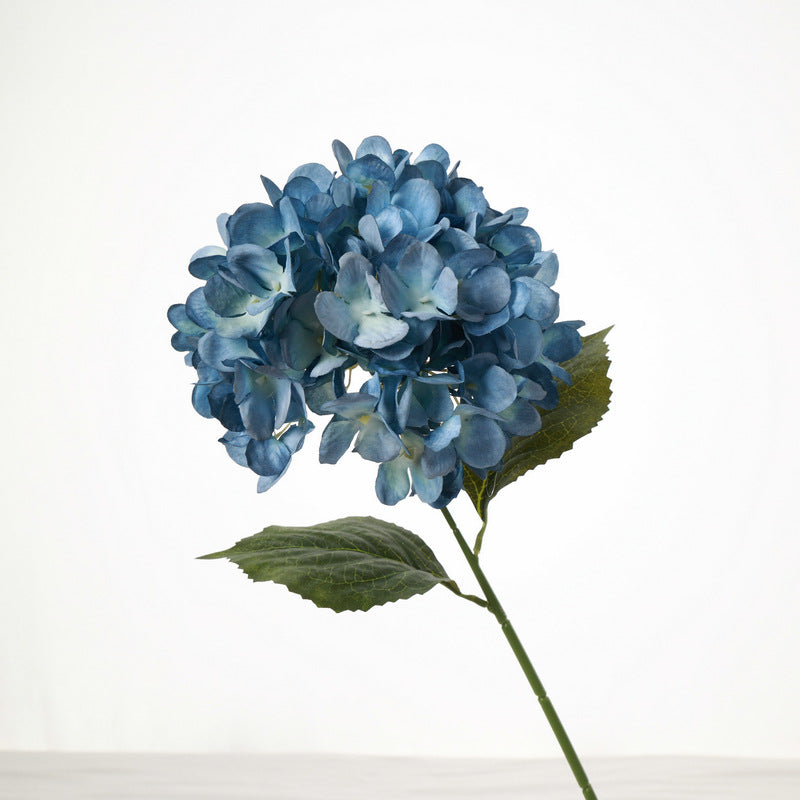 H0040 Hydrangea