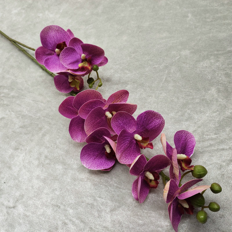 O0018 3D printed phalaenopsis with ten heads and two prongs