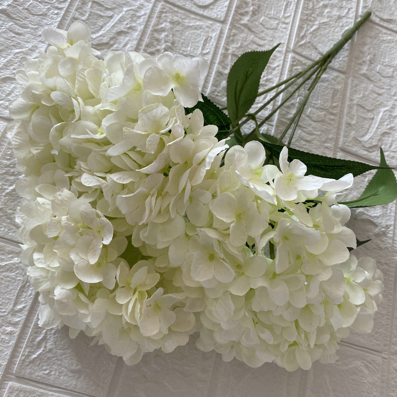 H0027 Hydrangea