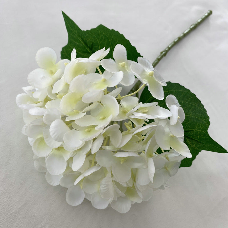 H0021 Hydrangea