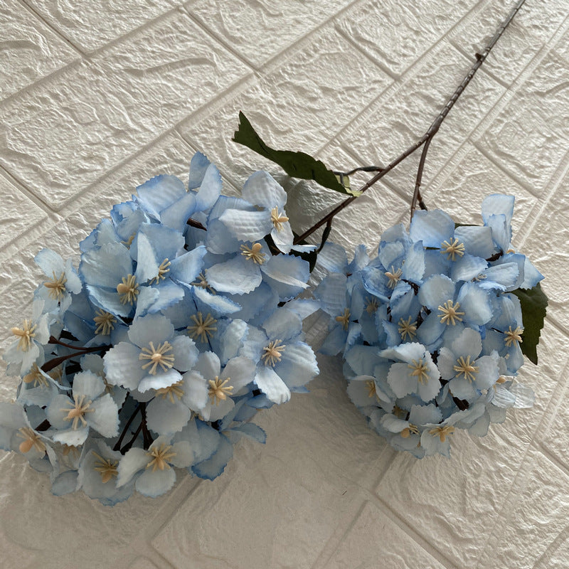 H0030 Hydrangea