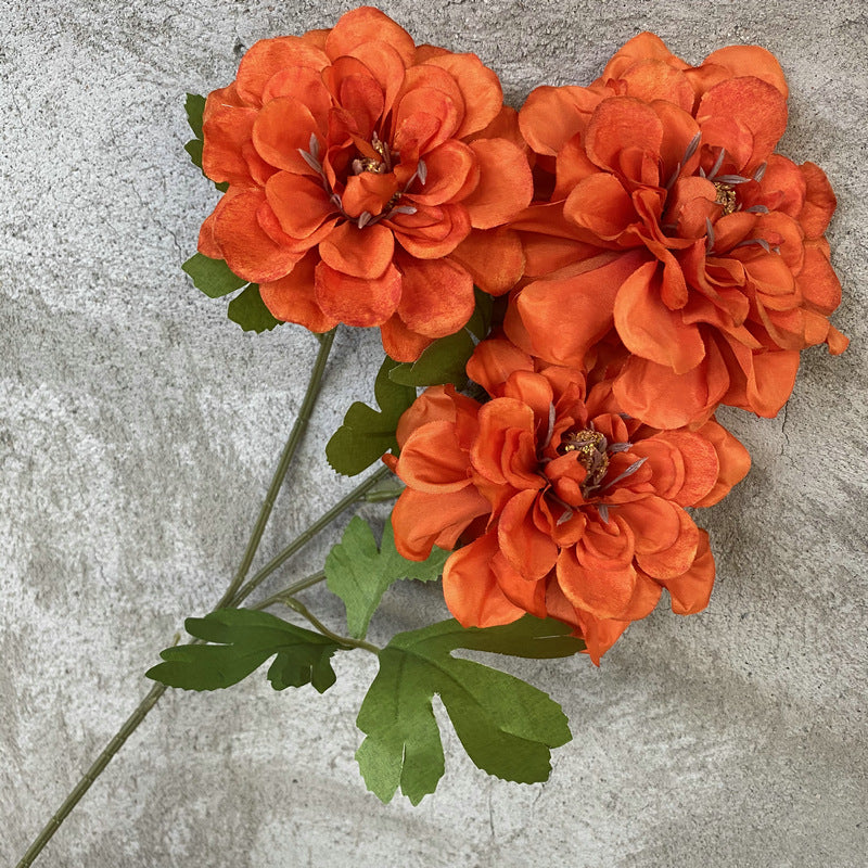 P0019 Three-headed Tianzhu Peony