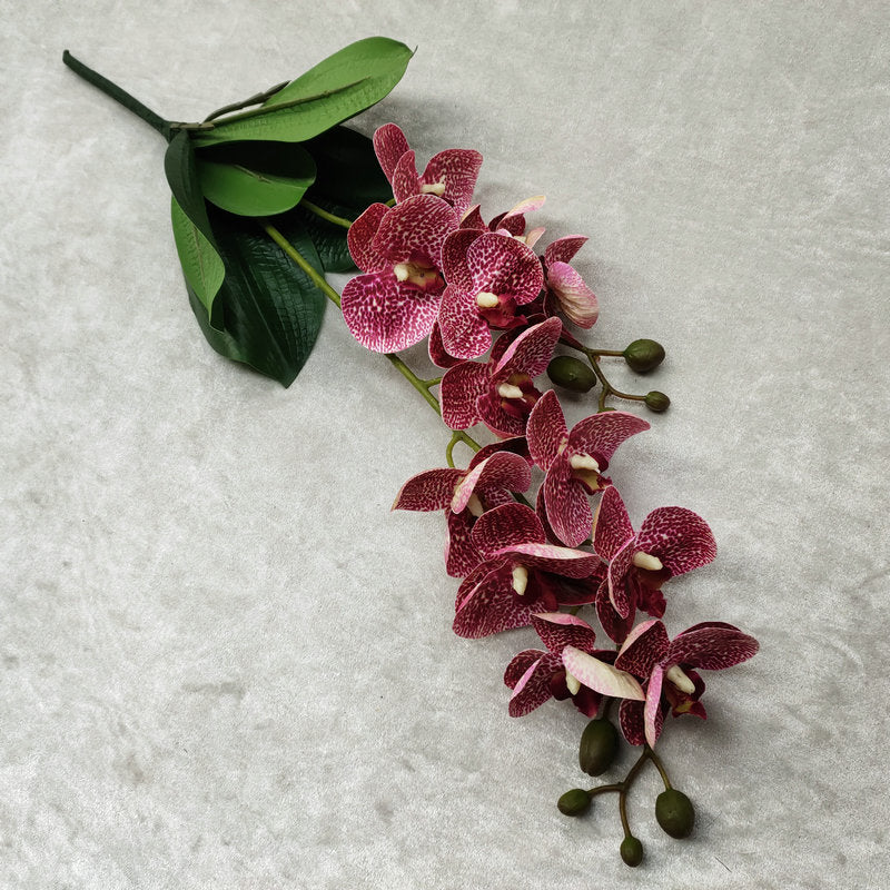 O0016 3D printed double-forked twelve-headed Phalaenopsis with leaves