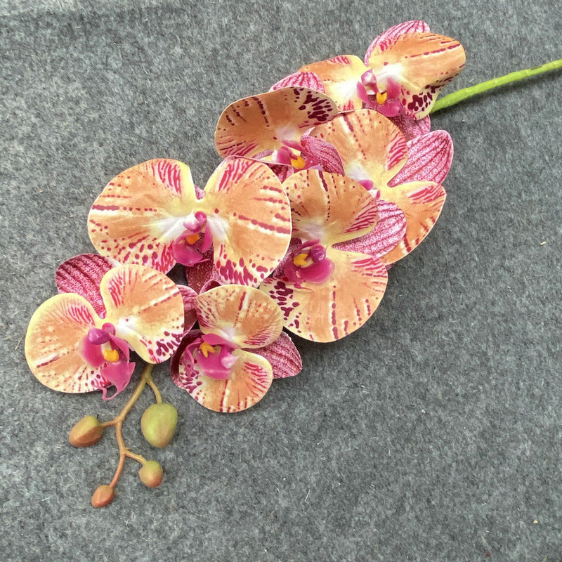 O0017 Single color printed Phalaenopsis