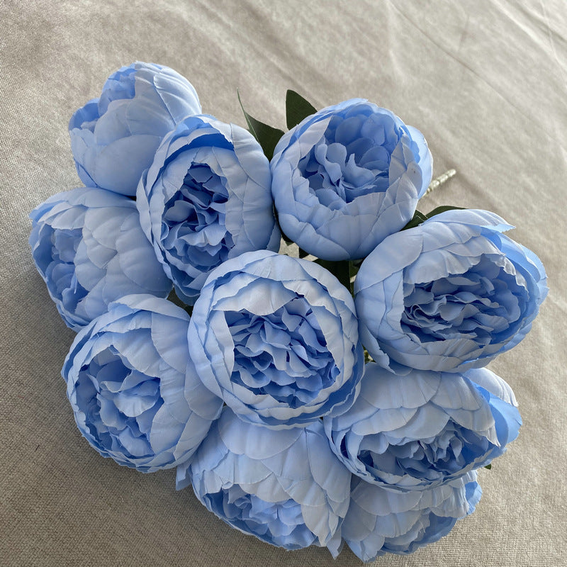 P0025 Ten round peonies