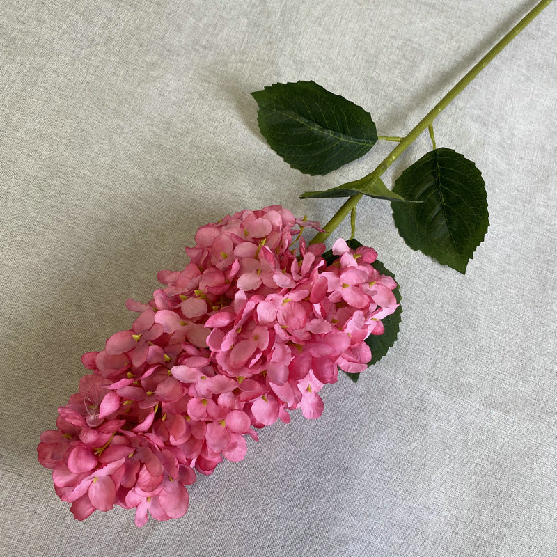 H0009 Hydrangea