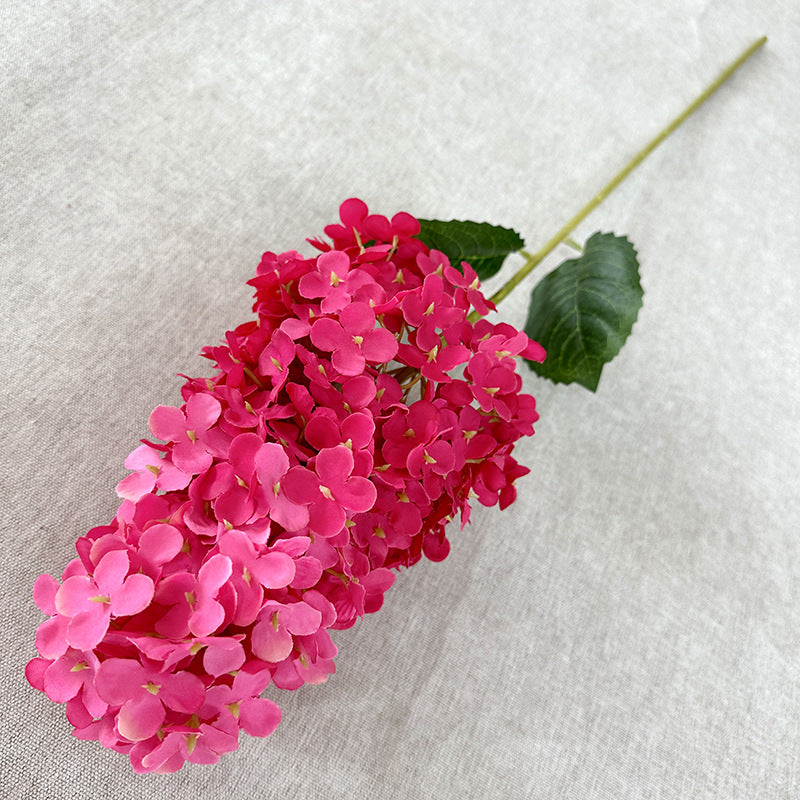 H0032 Hydrangea