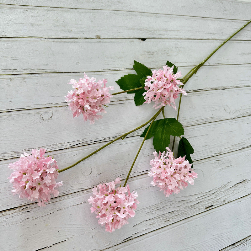 H0014 Hydrangea