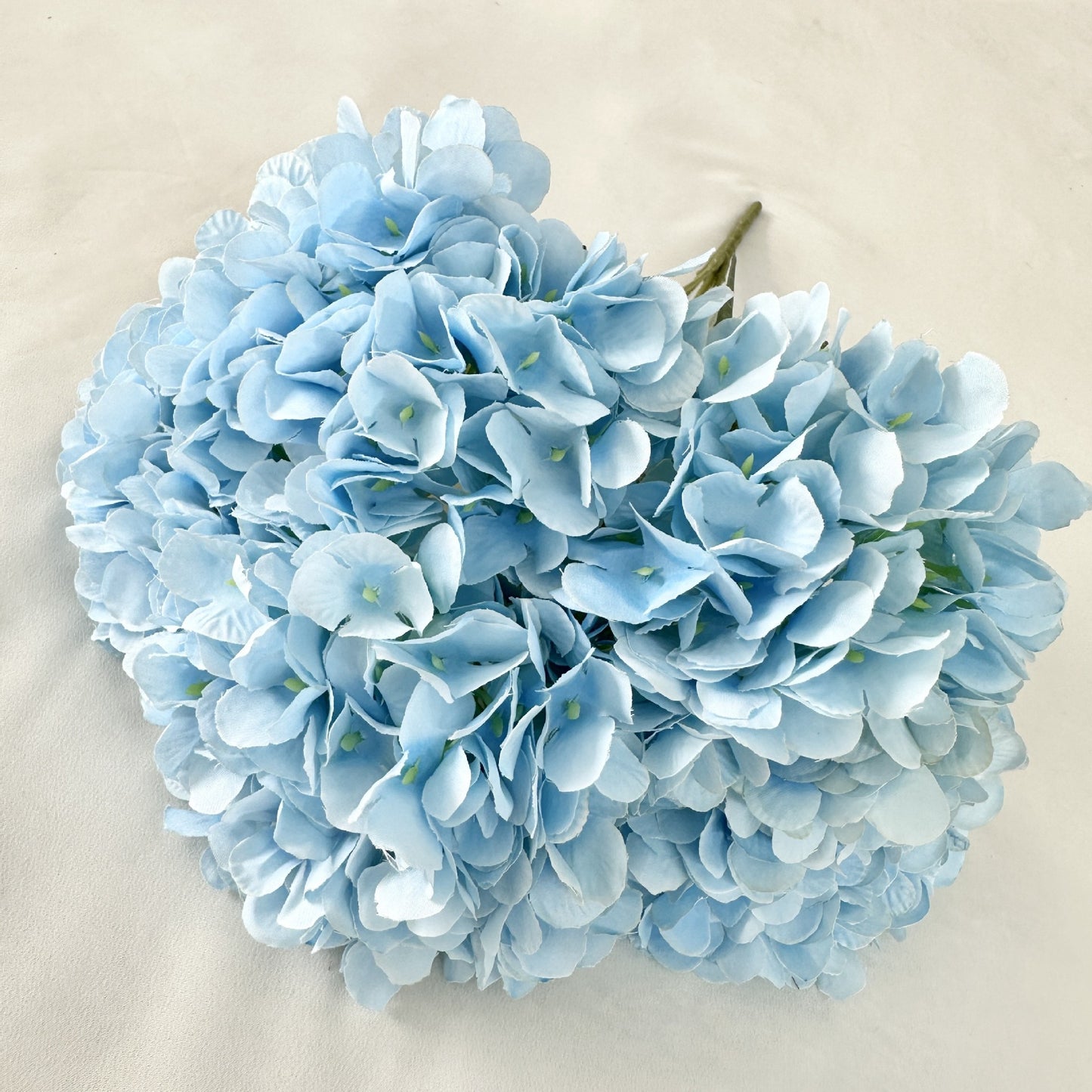 H0035 Hydrangea