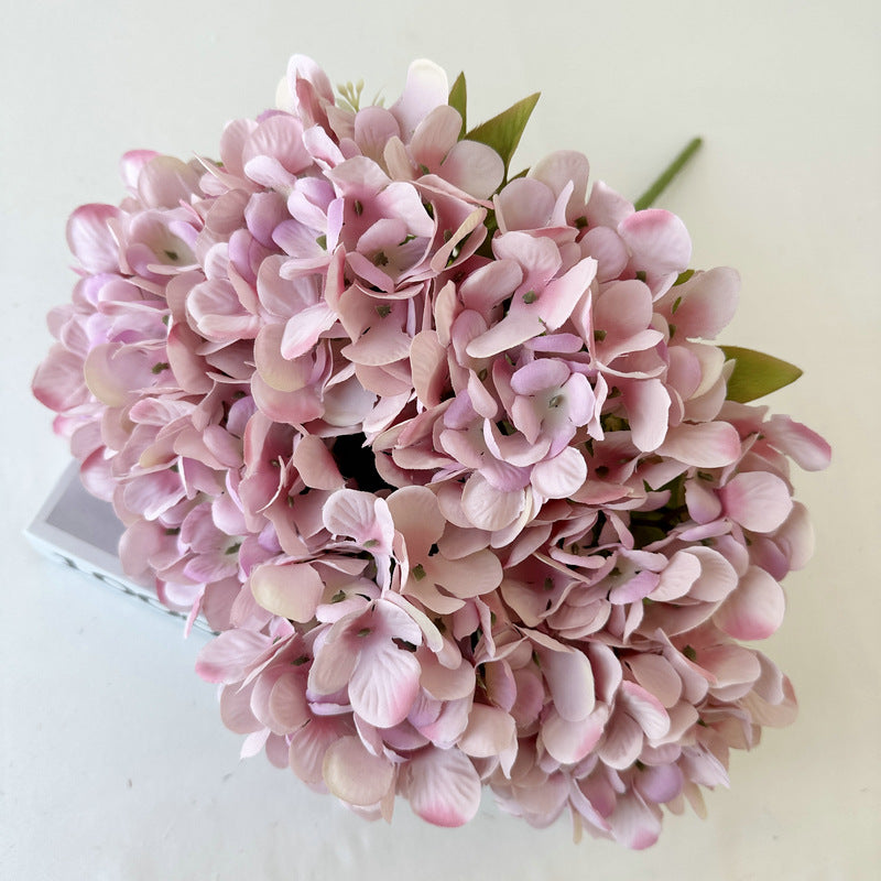 H0004 Hydrangea