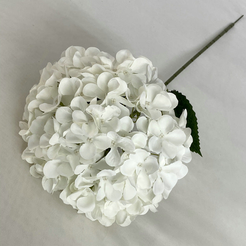 H0001 Hydrangea