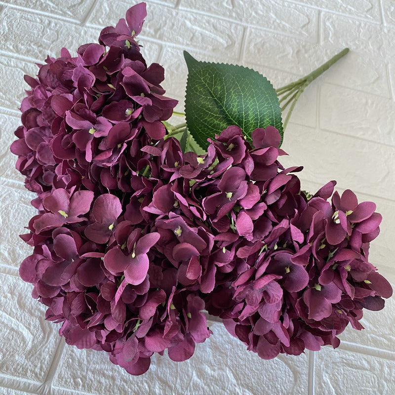 H0027 Hydrangea