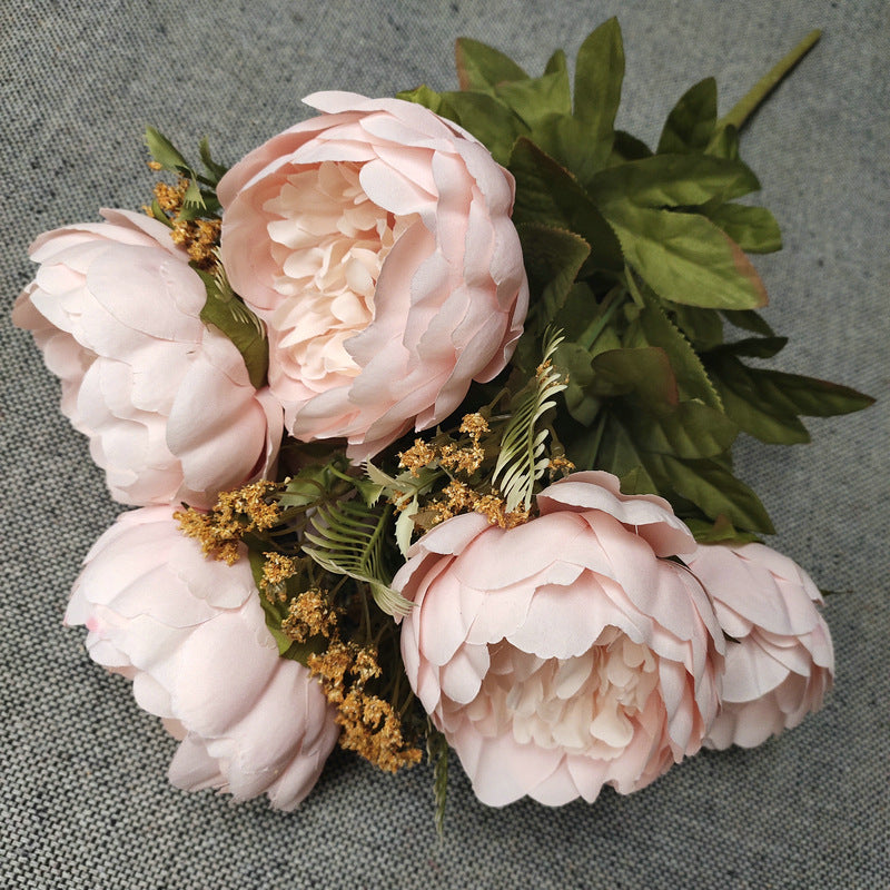 P0044 Eleven round Polish peonies