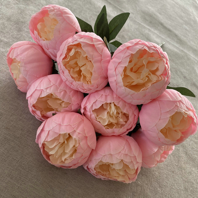 P0025 Ten round peonies