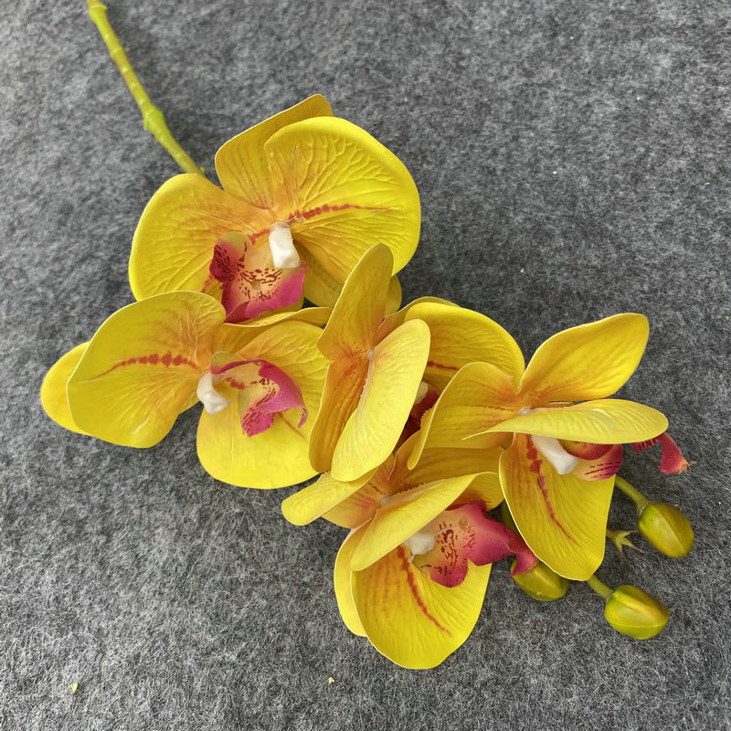 O0004 3D printed 5-head Phalaenopsis