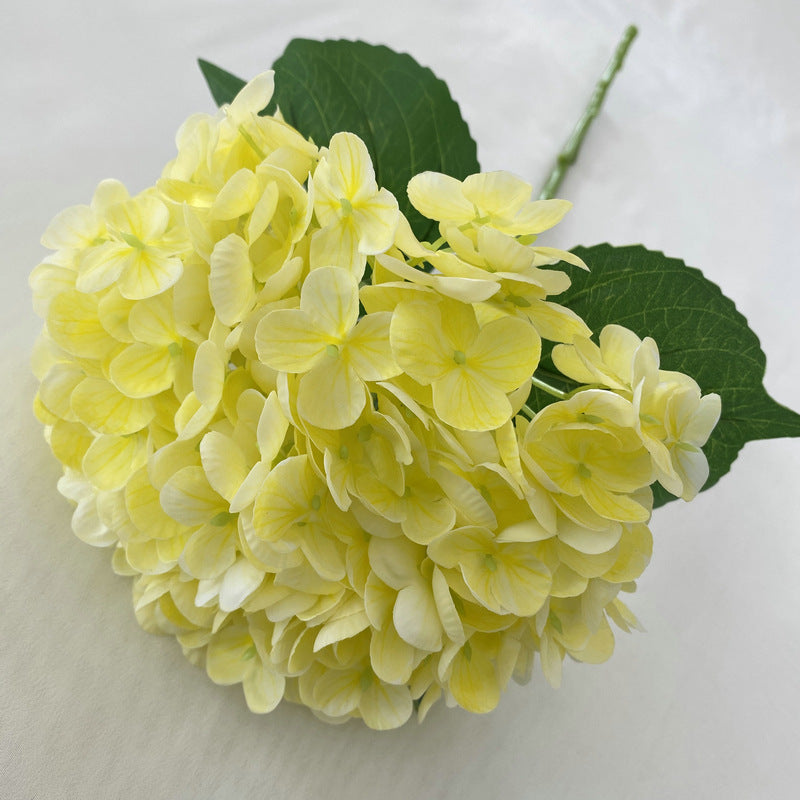 H0003 Hydrangea