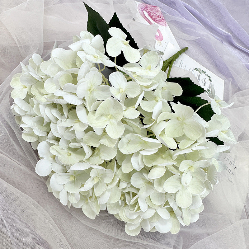 H0039 Hydrangea