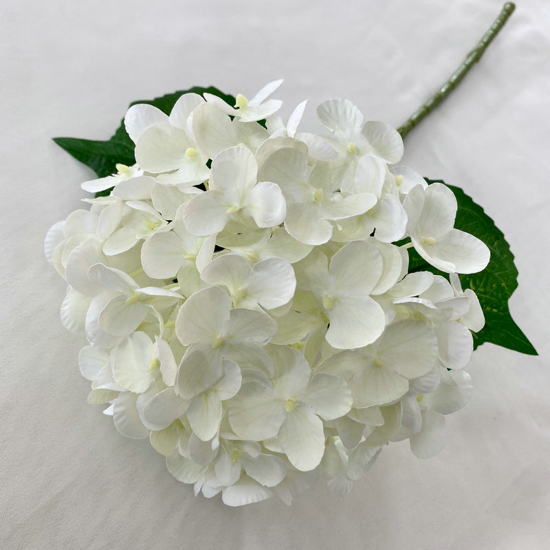 H0021 Hydrangea