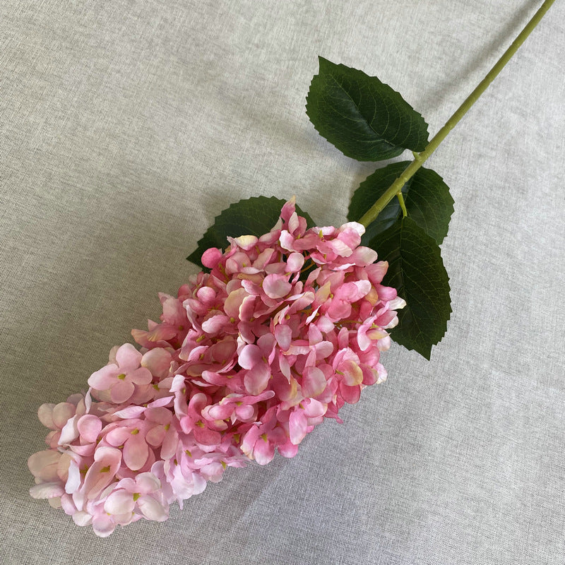 H0009 Hydrangea