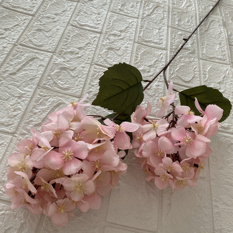 H0030 Hydrangea