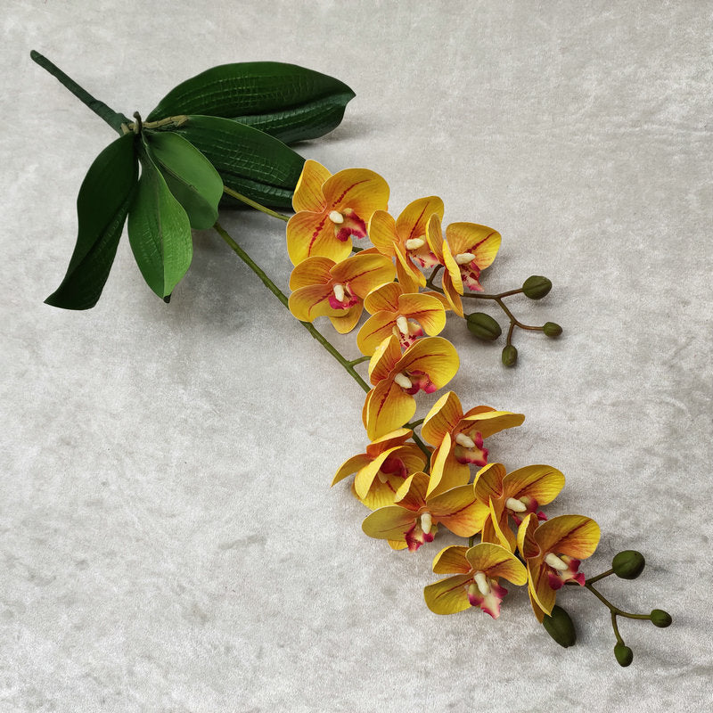 O0016 3D printed double-forked twelve-headed Phalaenopsis with leaves