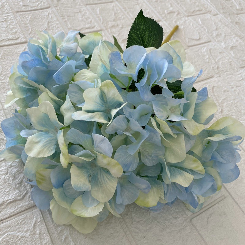 H0010 Hydrangea