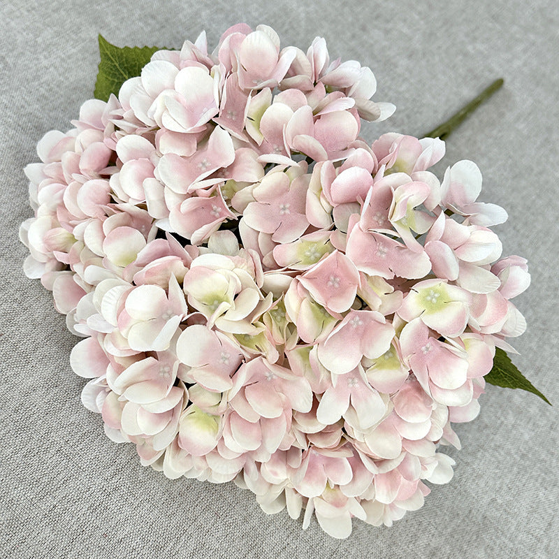 H0034 Hydrangea