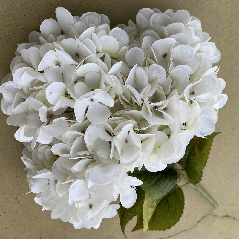 H0025 Hydrangea