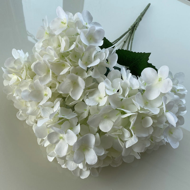 H0006 Hydrangea