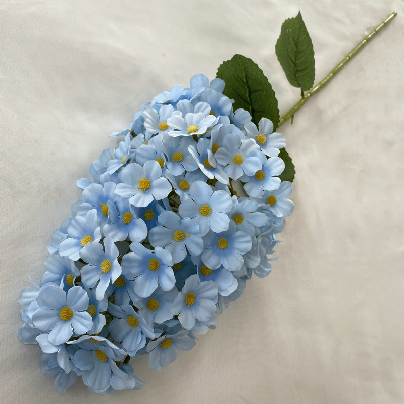 H0041 Hydrangea