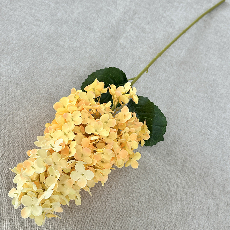 H0032 Hydrangea