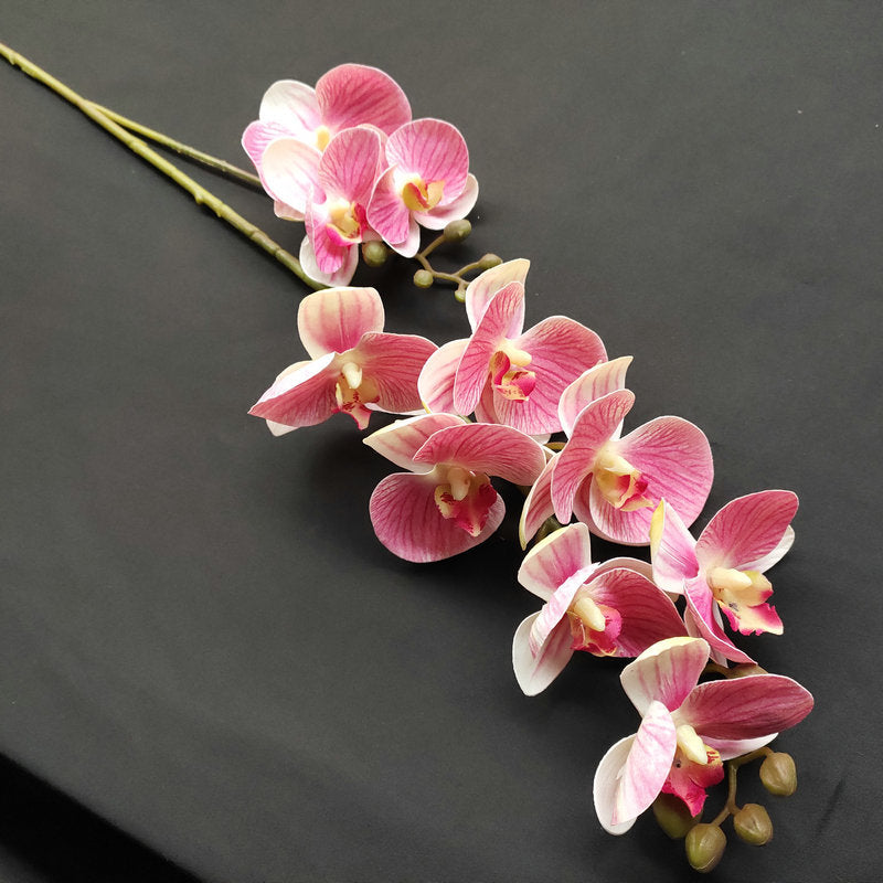 O0018 3D printed phalaenopsis with ten heads and two prongs