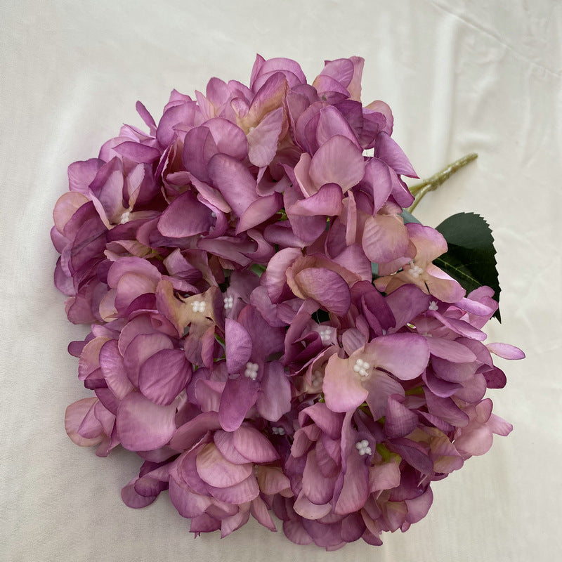 H0022 Hydrangea