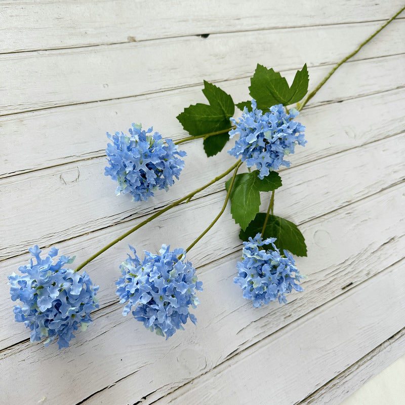 H0014 Hydrangea