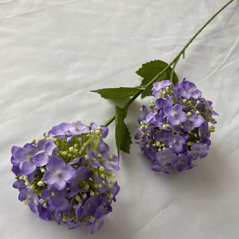 H0017 Hydrangea