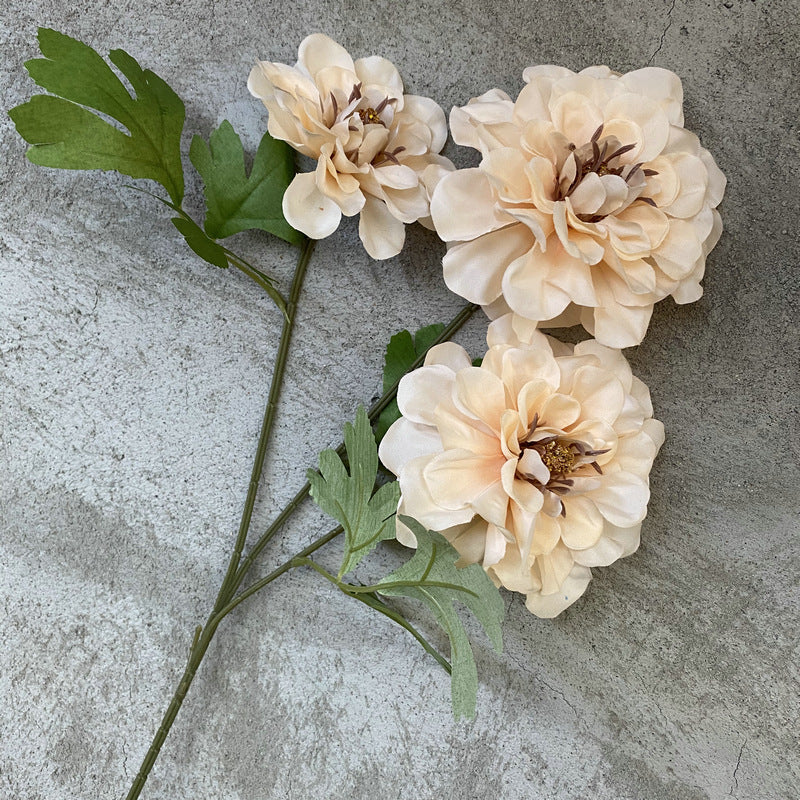 P0019 Three-headed Tianzhu Peony