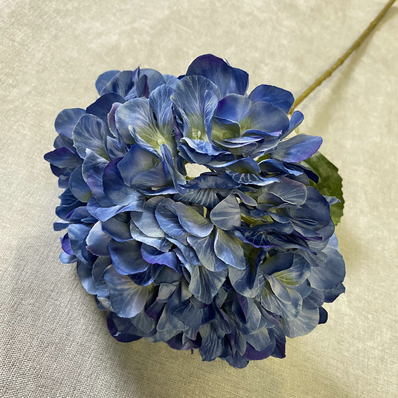 H0016 Hydrangea